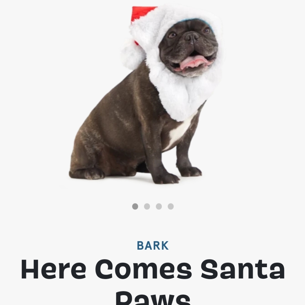 LARGE Bark Christmas Santa Claus Santa Paws Dog Hat Beard Halloween Costume